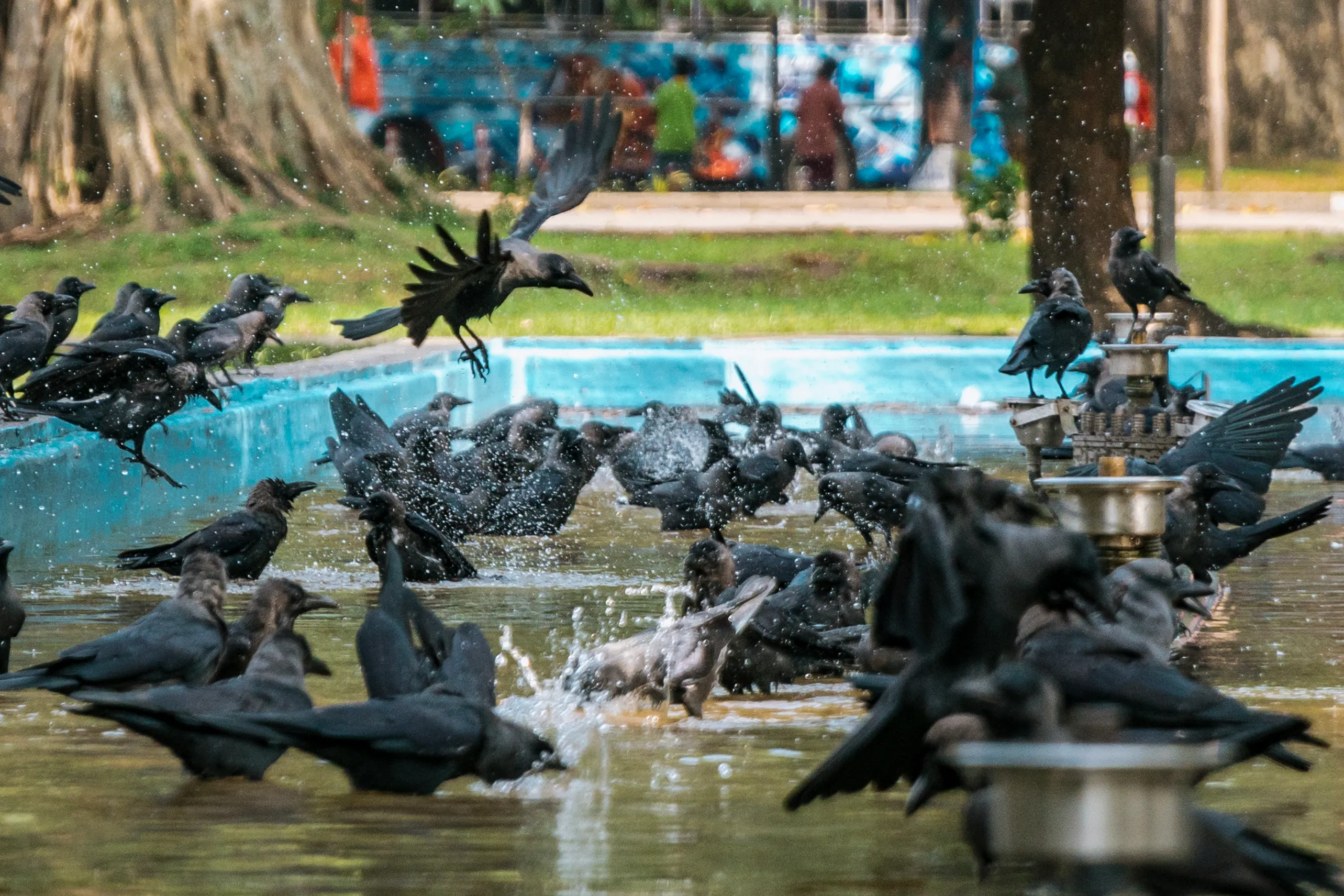 Independence Square Park