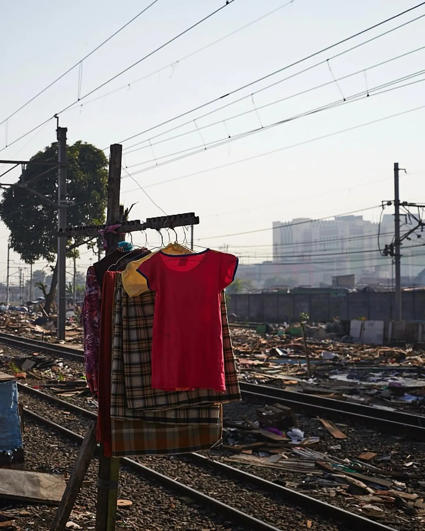 Penghormatan untuk Martin Parr