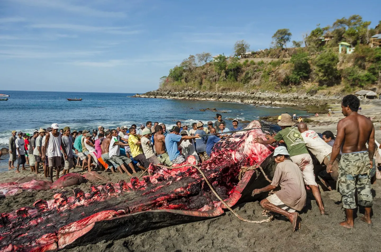 Ina Lefa (Ibu Laut)
